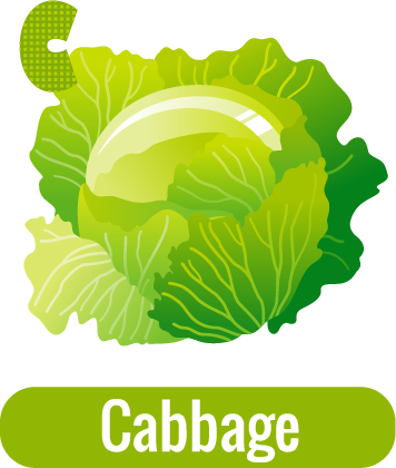 C for Cabbage