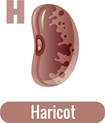 H for Haricot