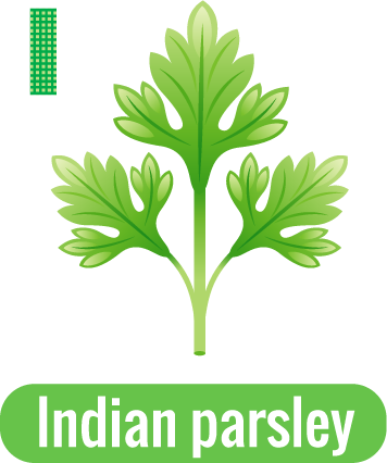 I for Indian parsley