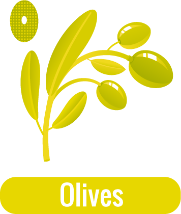 O for Olives