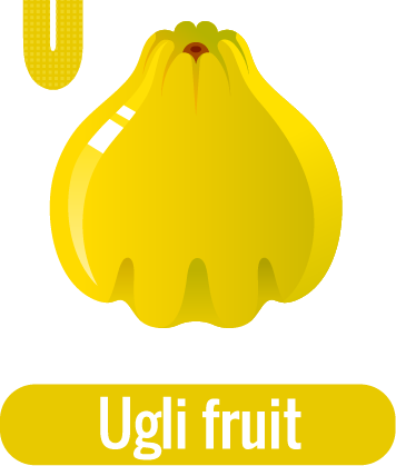 U for Ugli fruit