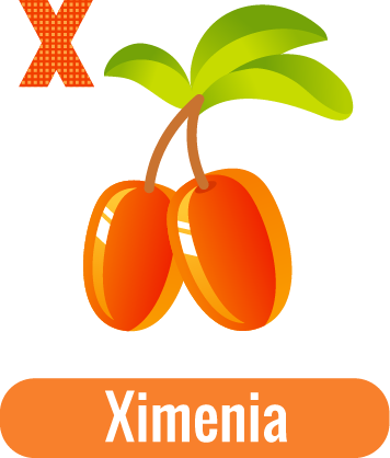 X for Ximenia