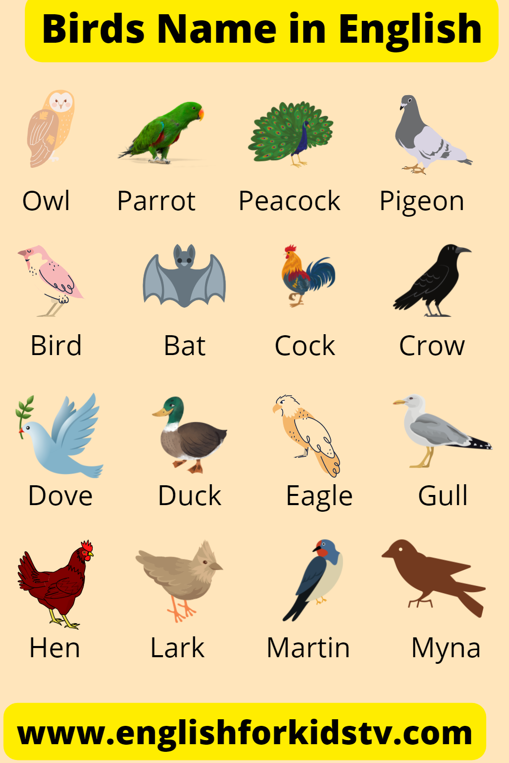 bird-name-in-english-with-pictures-english-for-kids