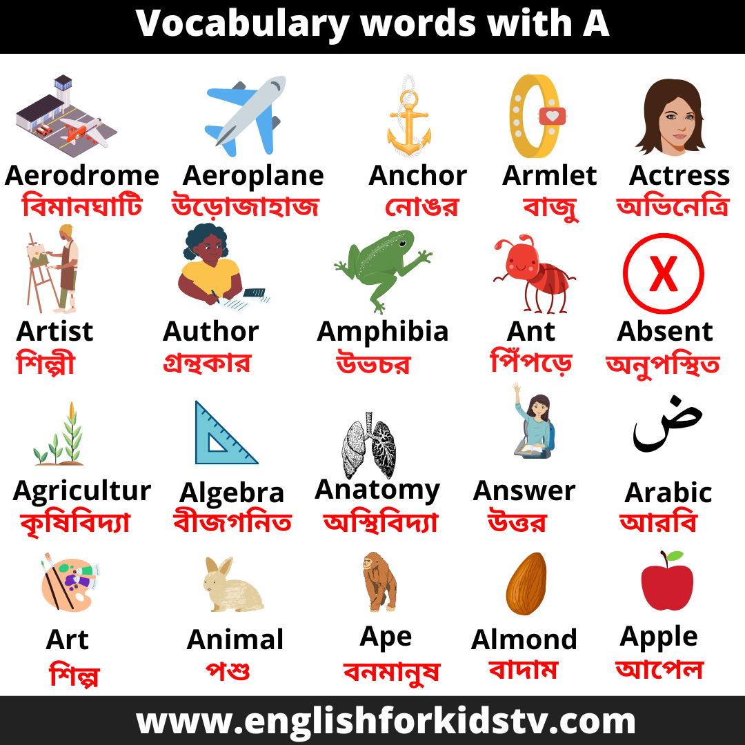 Vocabulary words with A