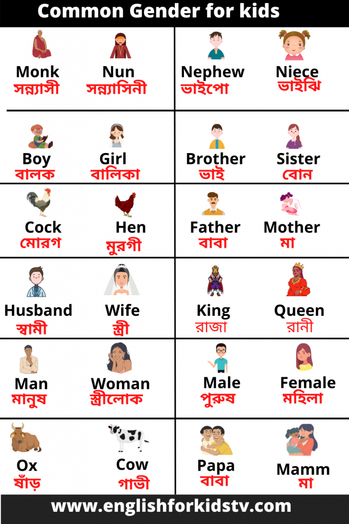 Common Gender for kids