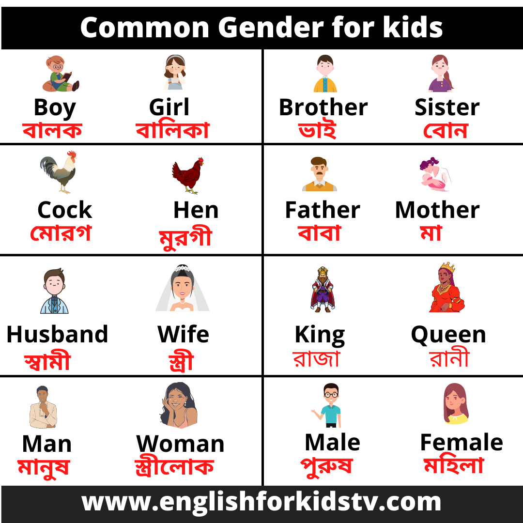 Common Gender for kids