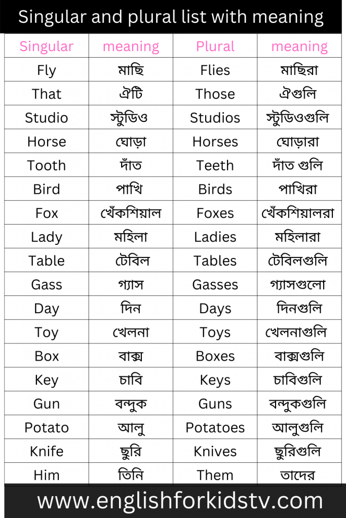 Singular& Plural for kids