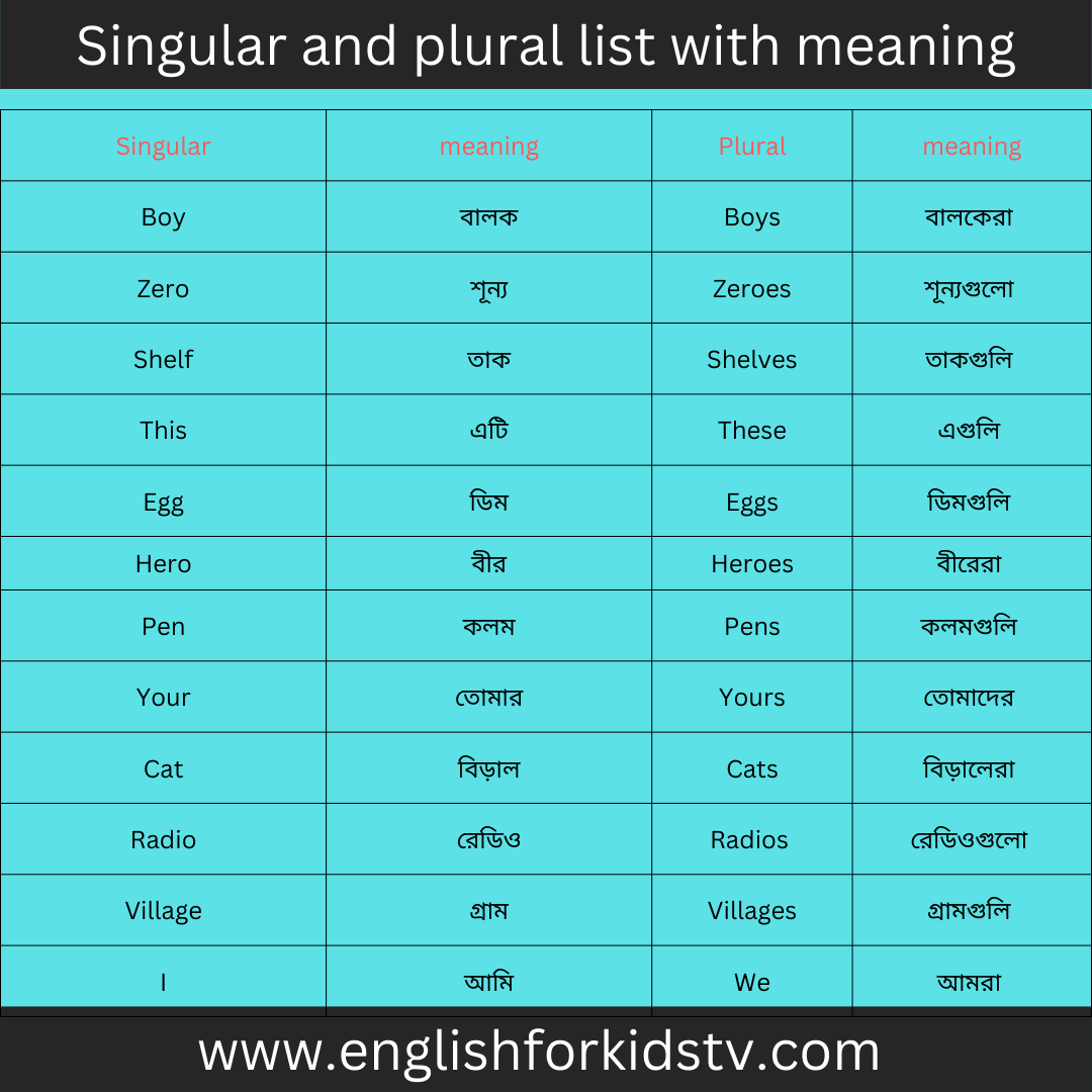 Singular & Plural for kids English For Kids