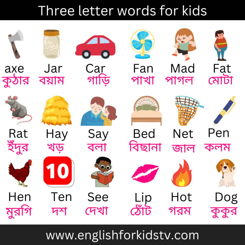 three-letter-words-with-meaning-english-for-kids