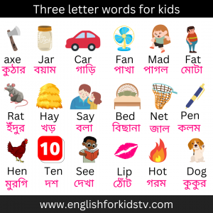 Three letter words with meaning - English For Kids