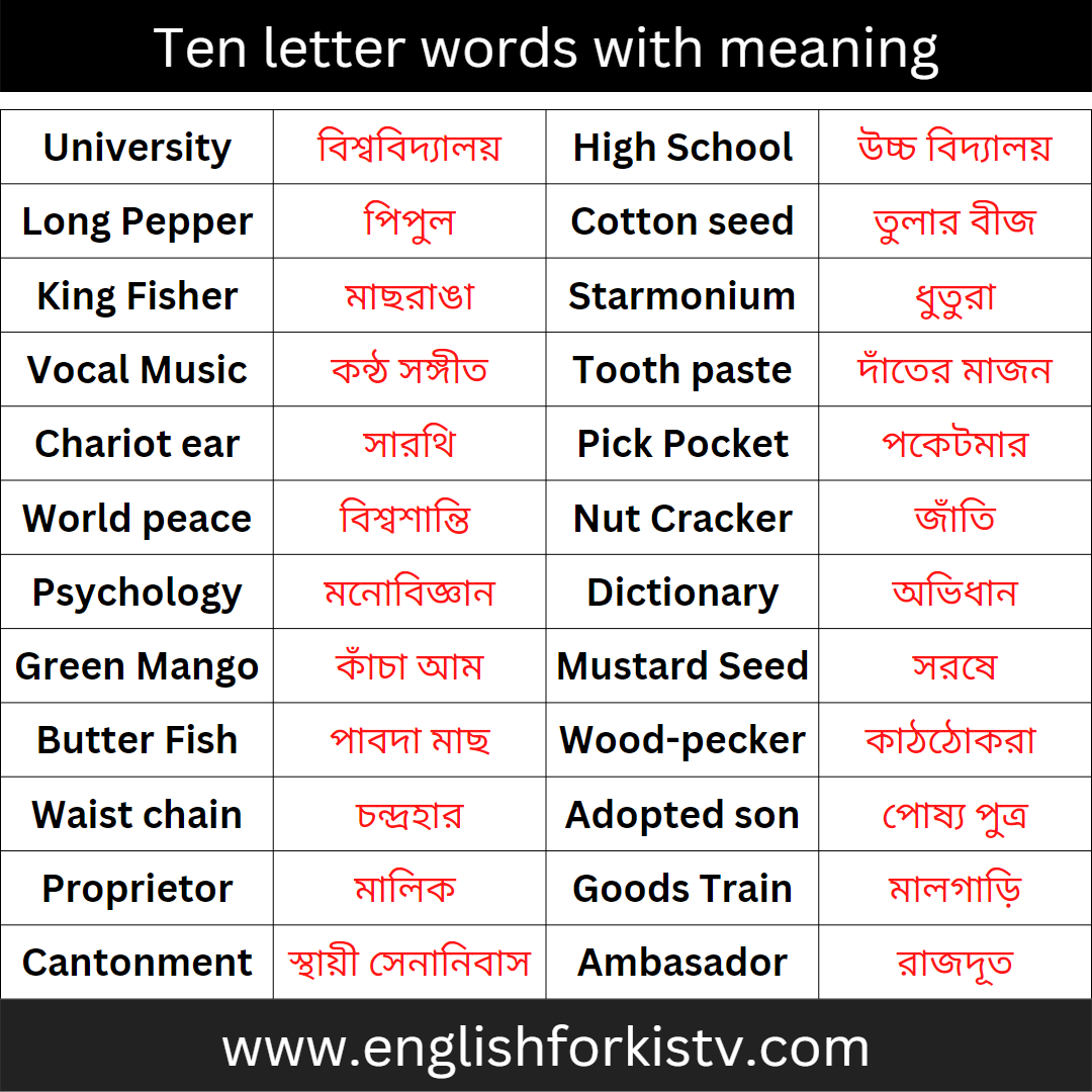 en letter words with meaning