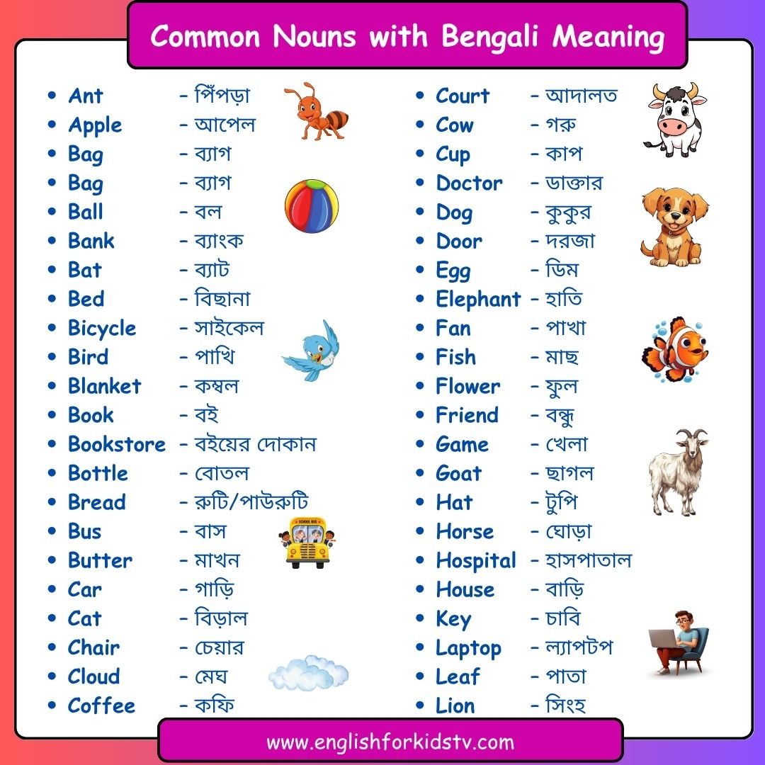 Noun in English Grammar